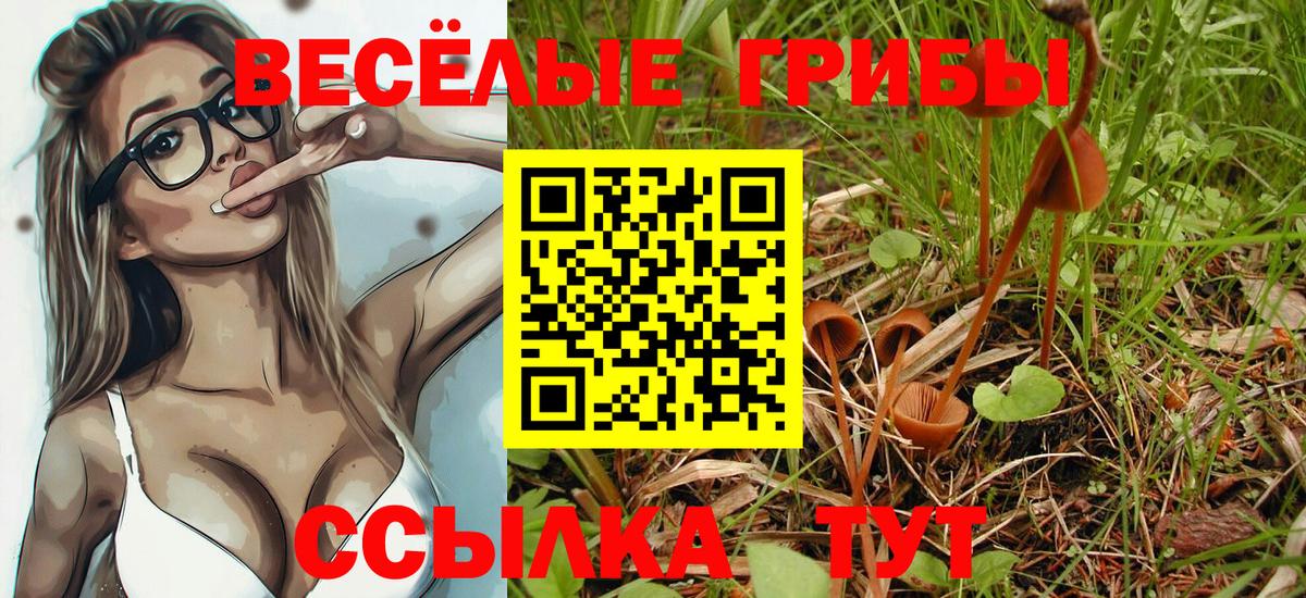 Белореченск  Псилоцибиновые грибы MAGIC MUSHROOMS  Вход с VPN  Галлюциногенные грибы Psilocybine cubensis 